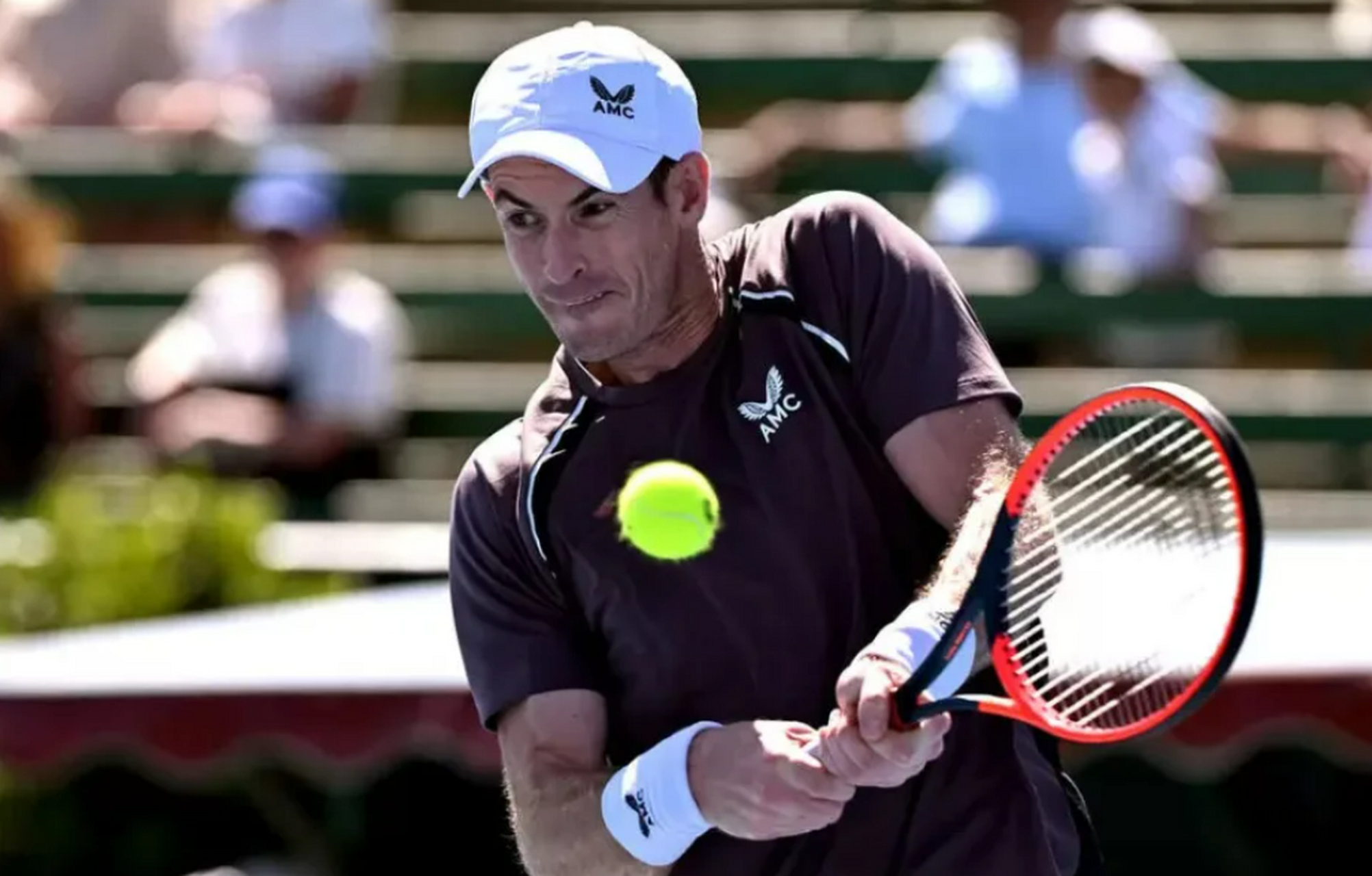 KAIYUN-关于穆雷回归赛场，大胜首场状态亮眼，雄鹿观众沸腾！的信息